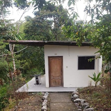 Hosteria Cacique Wasi Otel Puyo Dış mekan fotoğraf